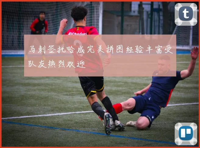 马刺签托哈成完美拼图经验丰富受队友热烈欢迎