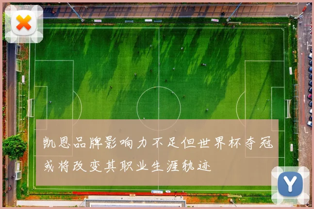 凯恩品牌影响力不足但世界杯夺冠或将改变其职业生涯轨迹